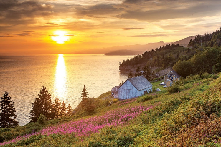 Canada's Charms Desk Calendar