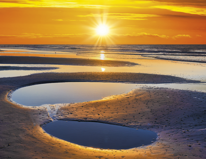 Triumph Sunrise Sunset Wall Calendar