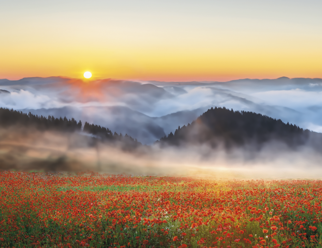 Triumph Sunrise Sunset Wall Calendar
