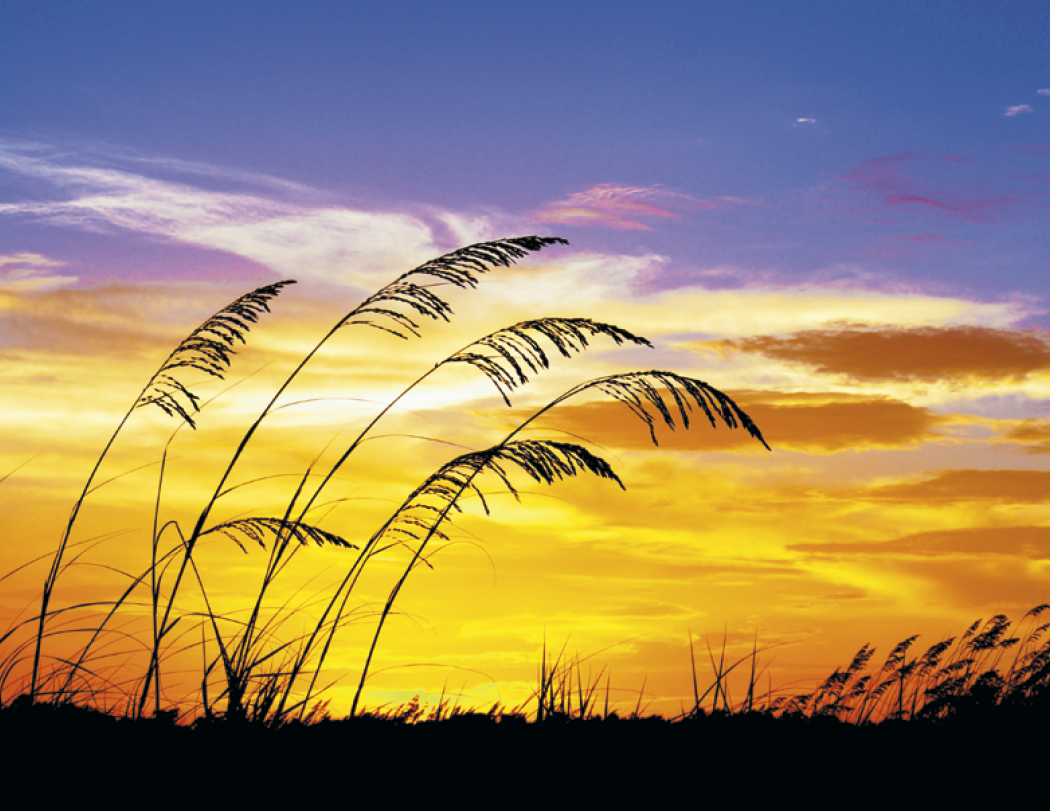 Triumph Sunrise Sunset Wall Calendar