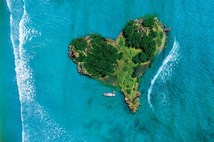 Spiral Deluxe Appointment Wall Calendar