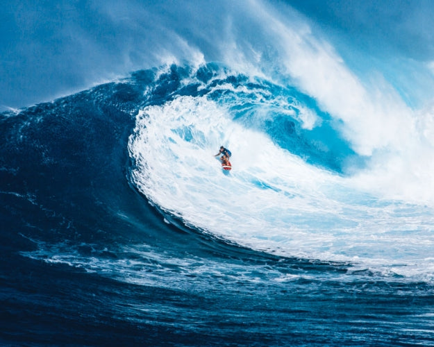 Spiral Deluxe Appointment Wall Calendar