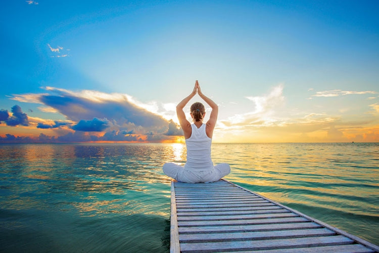 Spiral Deluxe Appointment Wall Calendar