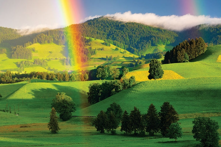 Spiral Deluxe Appointment Wall Calendar