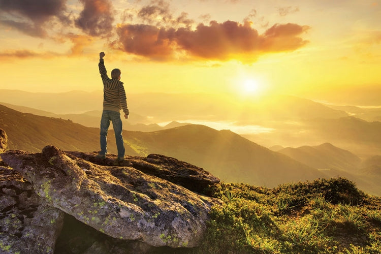 Spiral Deluxe Appointment Wall Calendar