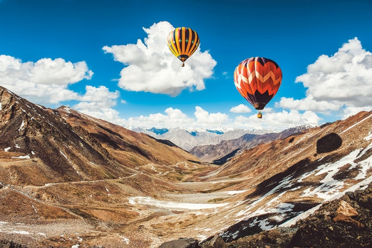 Spiral Deluxe Appointment Wall Calendar