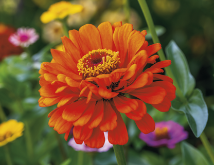 Stapled Wall Calendar - Flowers