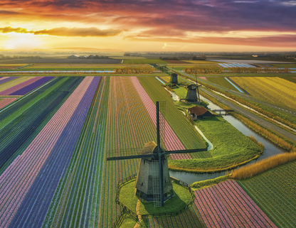 Spiral Wall Calendar - View from Above