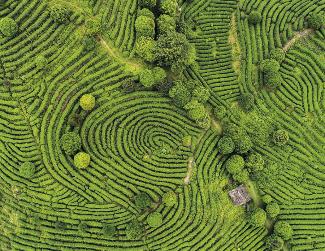 Spiral Wall Calendar - View from Above