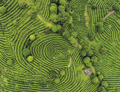 Spiral Wall Calendar - View from Above