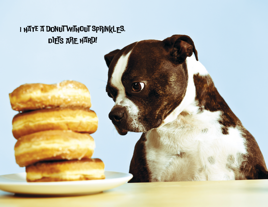 Spiral Wall Calendar - Pets with Attitude
