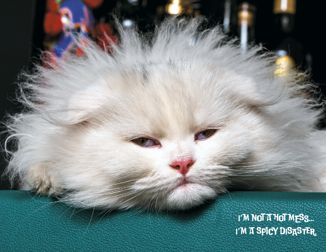 Spiral Wall Calendar - Pets with Attitude