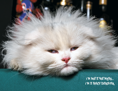 Spiral Wall Calendar - Pets with Attitude