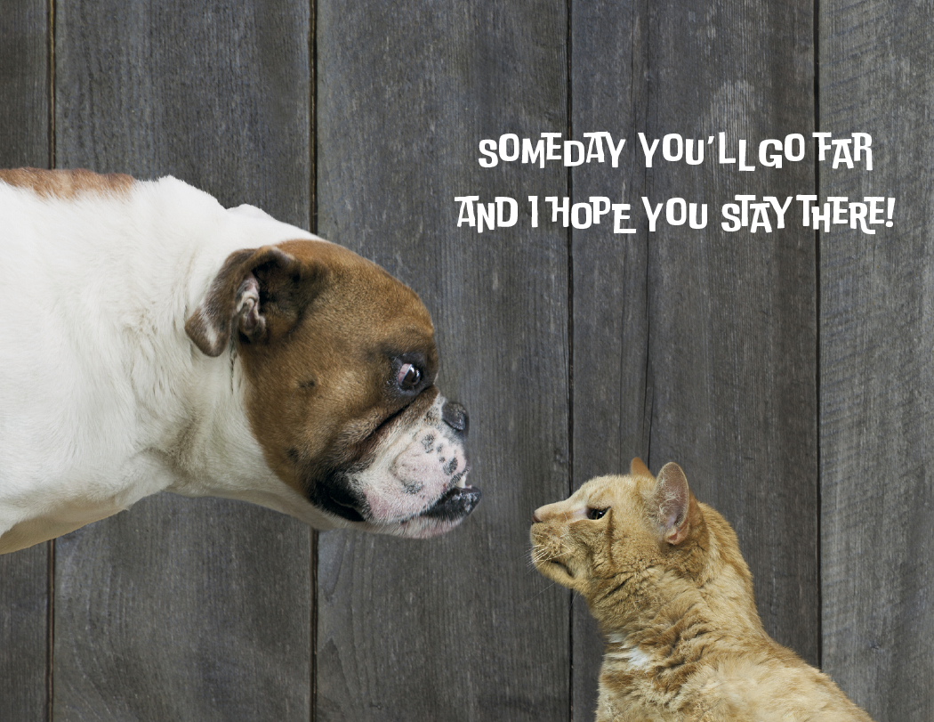 Spiral Wall Calendar - Pets with Attitude