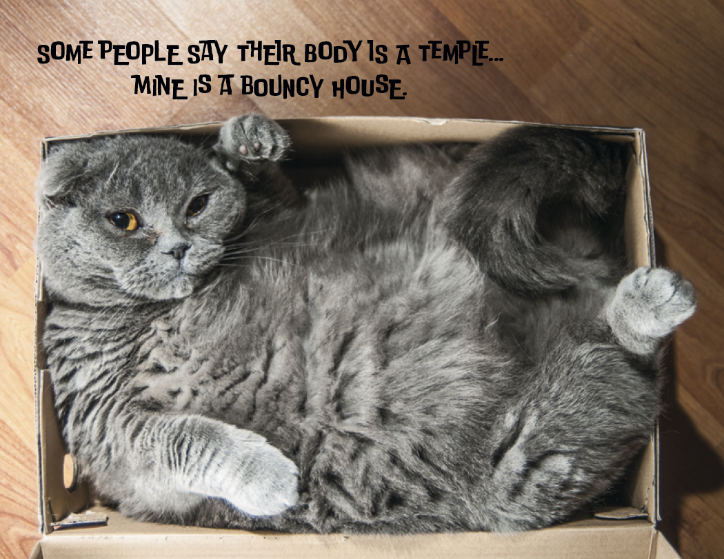 Spiral Wall Calendar - Pets with Attitude