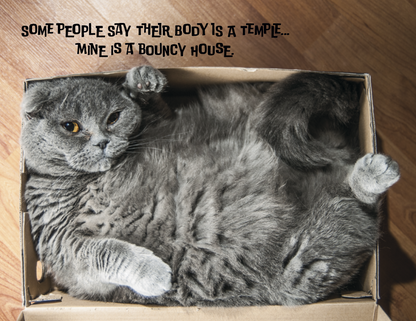 Spiral Wall Calendar - Pets with Attitude