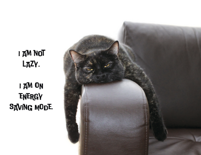 Spiral Wall Calendar - Pets with Attitude
