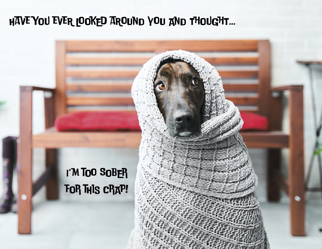 Spiral Wall Calendar - Pets with Attitude