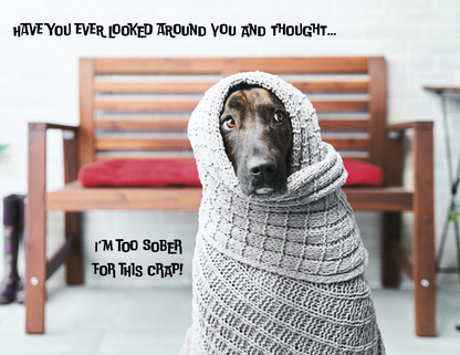 Spiral Wall Calendar - Pets with Attitude