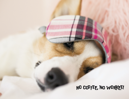 Spiral Wall Calendar - Pets with Attitude