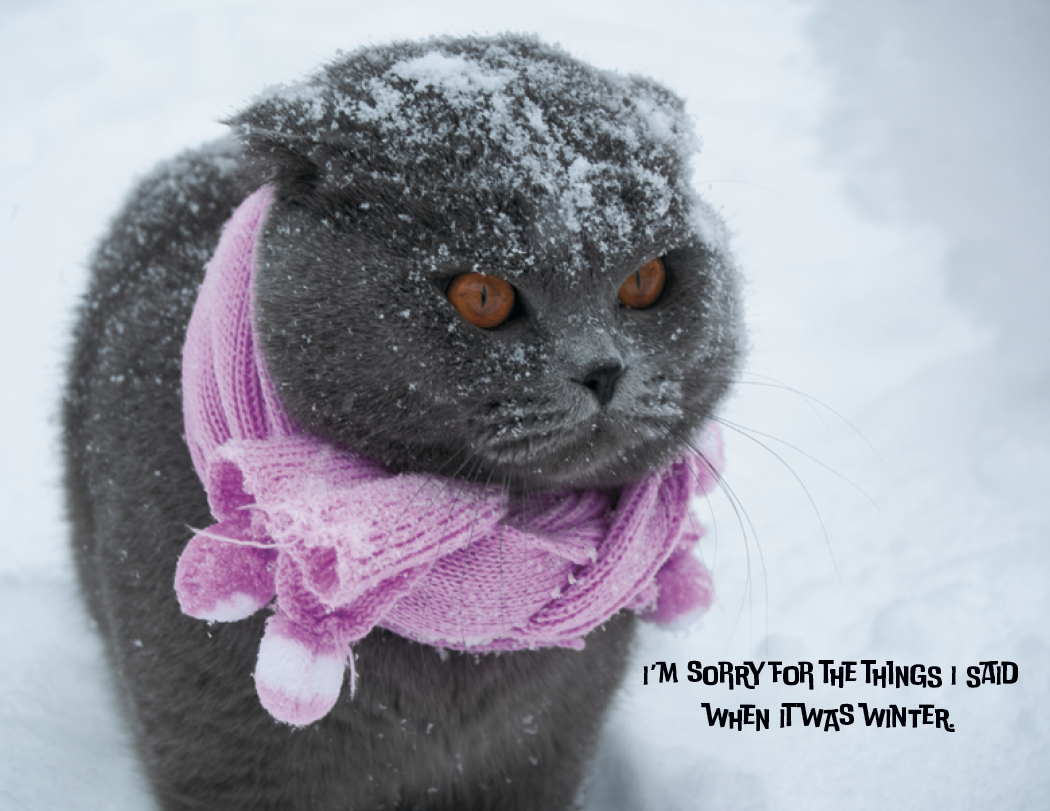 Spiral Wall Calendar - Pets with Attitude
