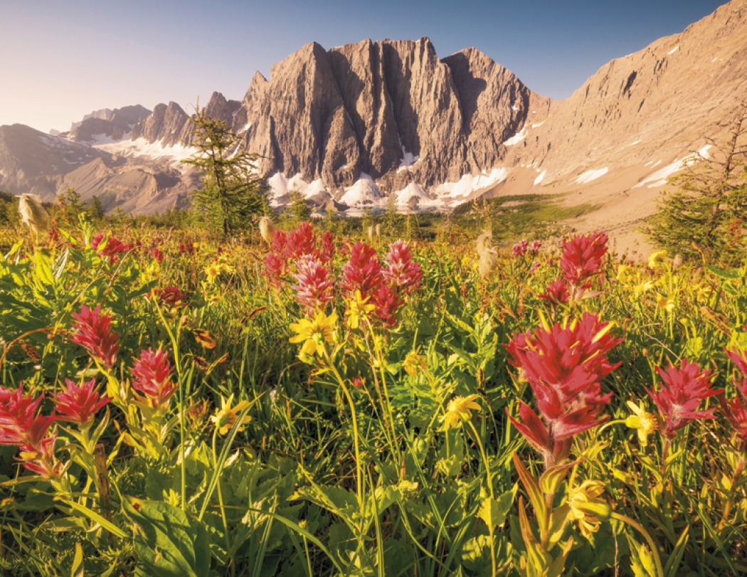 Spiral Wall Calendar - Canadian National Parks
