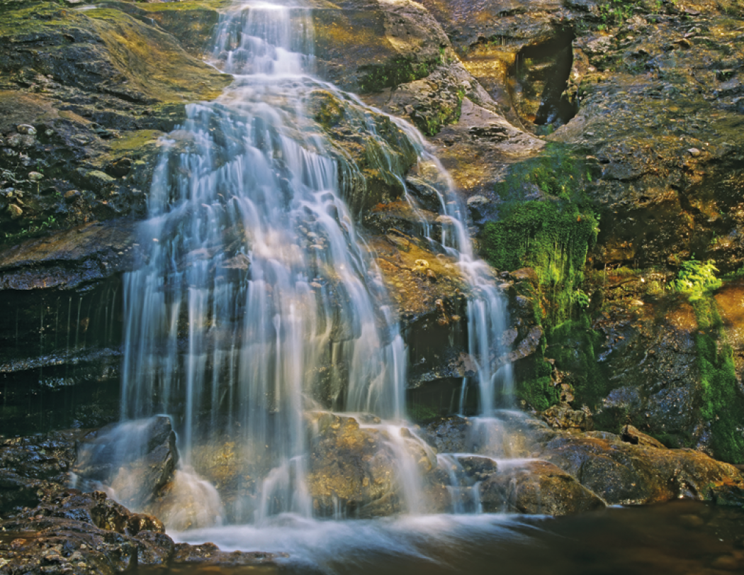 Spiral Wall Calendar - Canadian National Parks