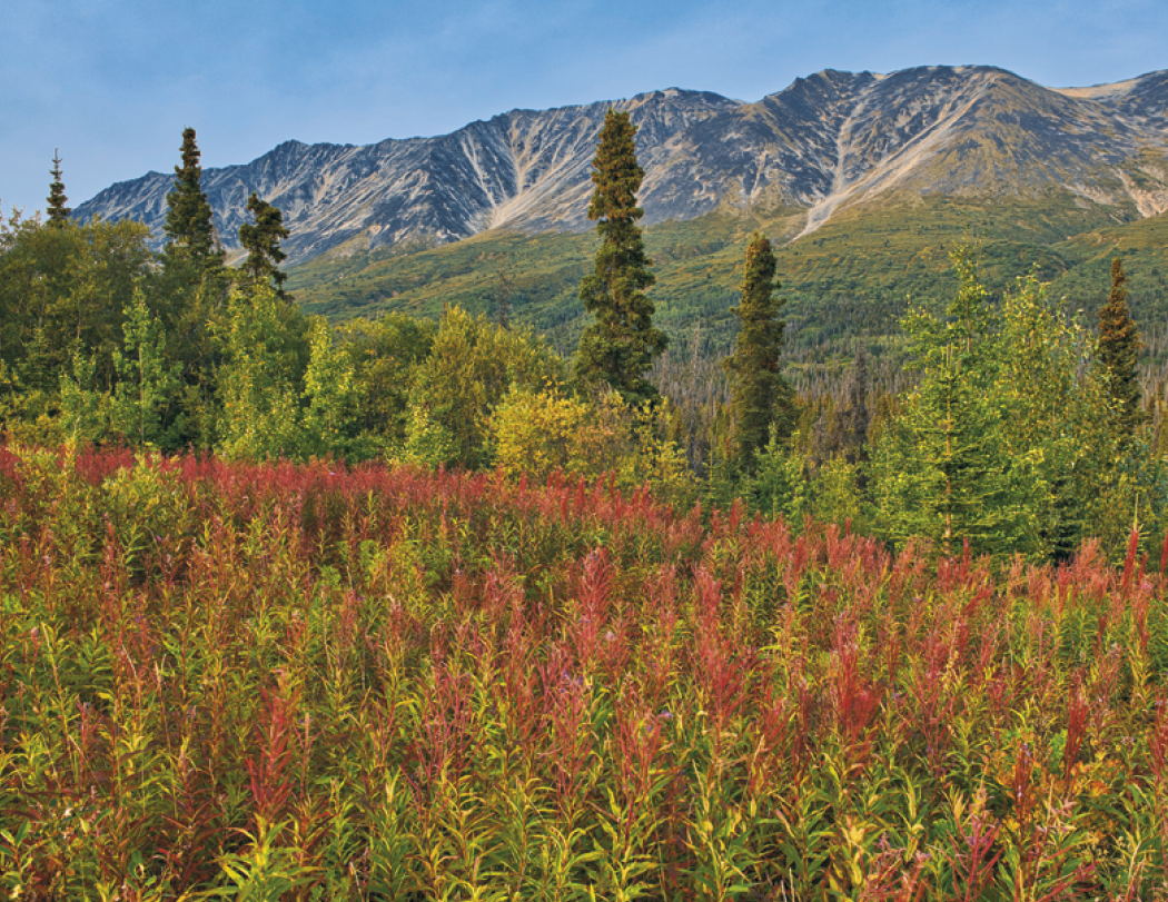 Stapled Wall Calendar - Canadian National Parks