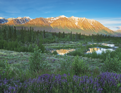 Stapled Wall Calendar - Scenic Canada