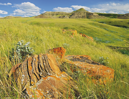 Stapled Wall Calendar - Scenic Canada
